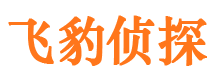 岳普湖市侦探调查公司